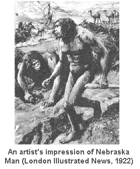 An artist's impression of Hesperopithecus, from the London Illustrated News